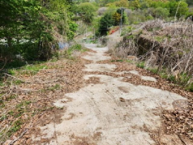 B000214202501300721683.jpg
