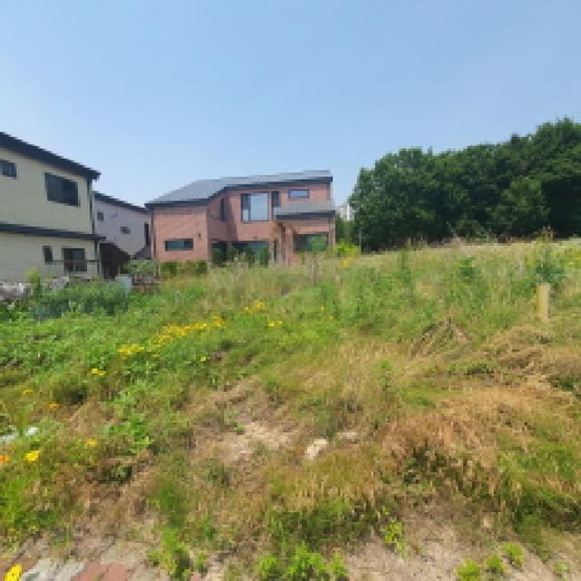 B000214202501300724731.jpg