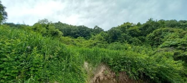 B000214202501300724743.jpg