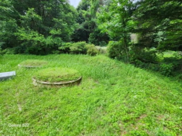 B000214202501300725191.jpg