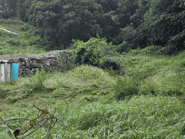 B0002142025013007252417.jpg