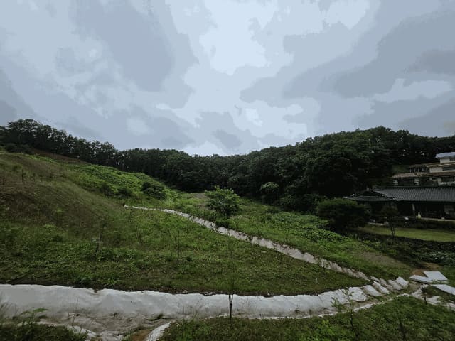 B0002142025013007252418.jpg