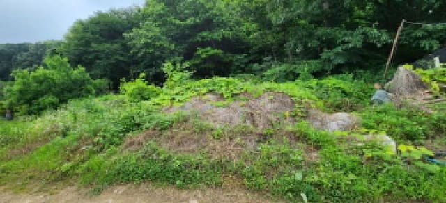 B000214202501300726032.jpg