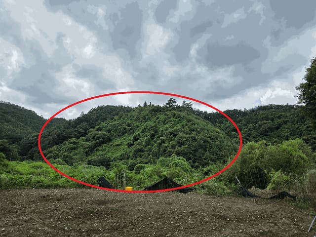 B000214202501300727042.jpg