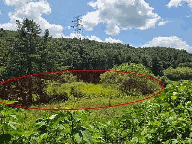 B000214202501300727722.jpg
