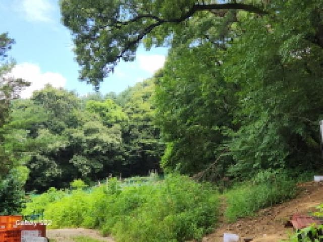 B000214202501300727761.jpg