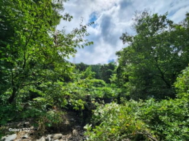 B000214202501300727762.jpg