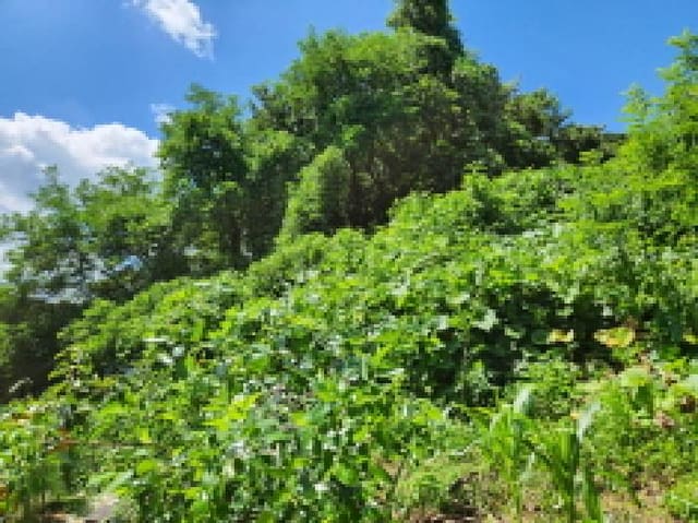 B000214202501300727984.jpg