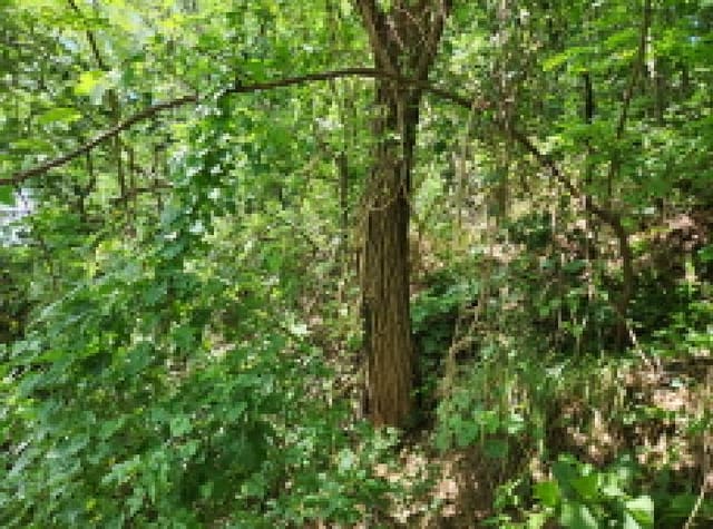 B000214202501300727982.jpg