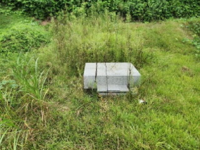 B000214202501300728242.jpg
