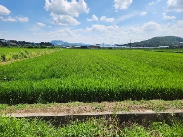 B000214202501300728581.jpg