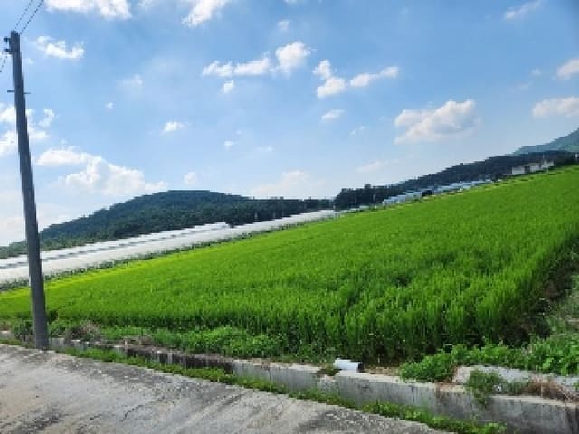 B000214202501300728582.jpg