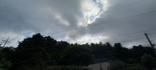 B000214202501300729241.jpg