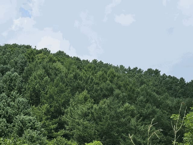B000214202501300729244.jpg