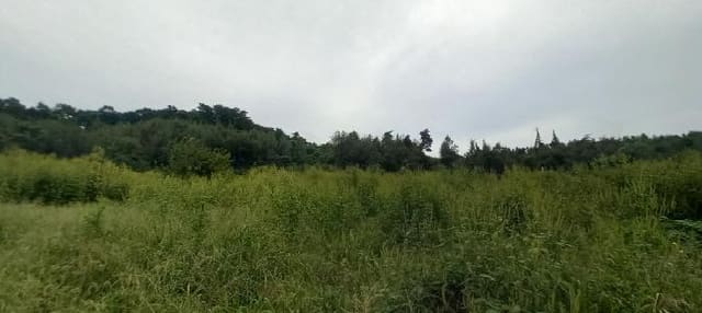 B000214202501300730891.jpg