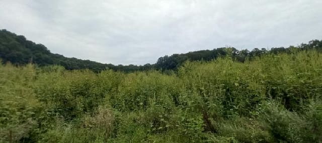 B000214202501300730892.jpg