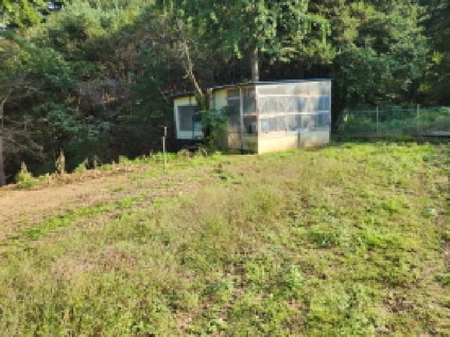 B000214202501300731252.jpg