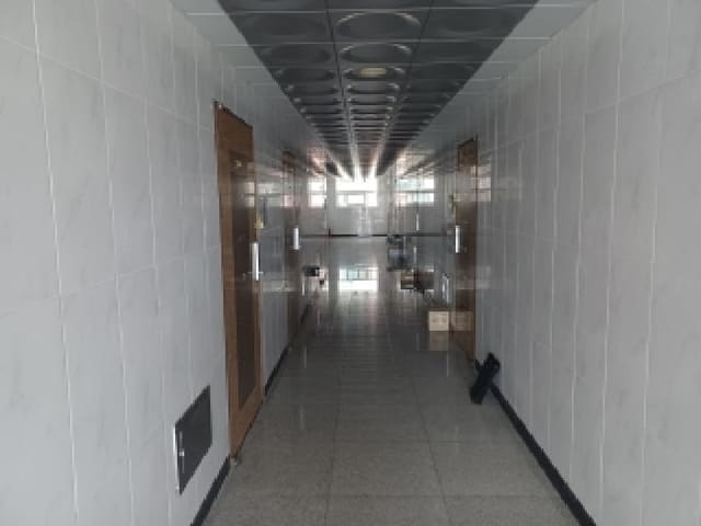 B000214202501300732824.jpg