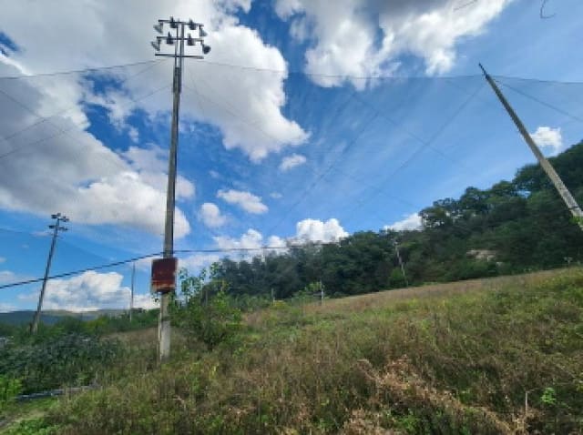 B000214202501300732914.jpg