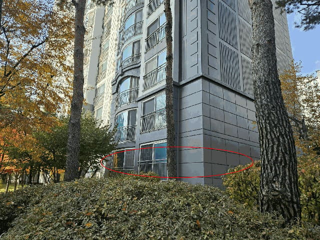B000214202501300734464.jpg