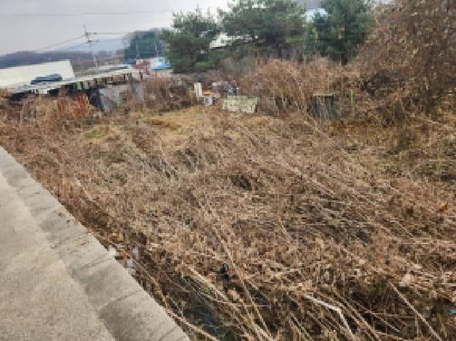 B000214202501300734772.jpg