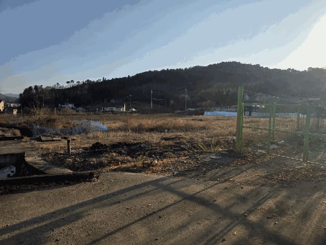 B000214202501300734854.jpg