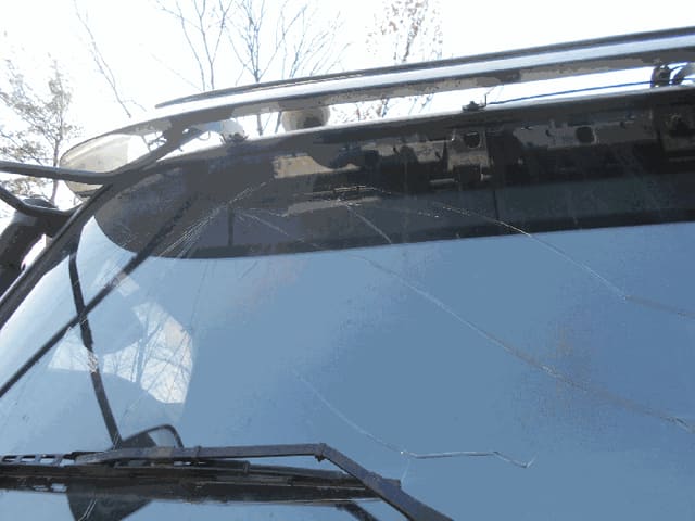 B000214202501300737462.jpg