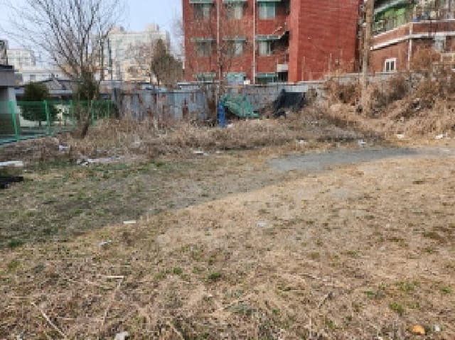 B000214202601300001332.jpg