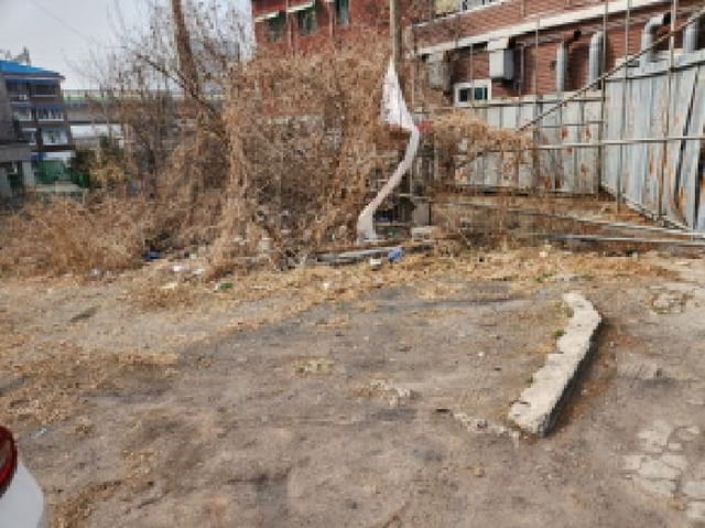 B000214202601300001334.jpg