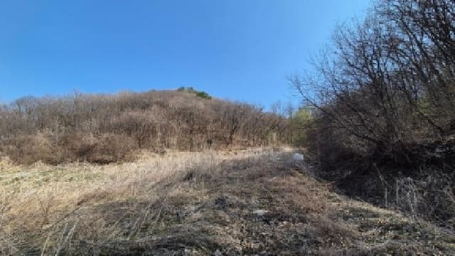 B000214202601300001414.jpg