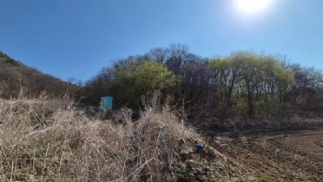 B000214202601300001413.jpg