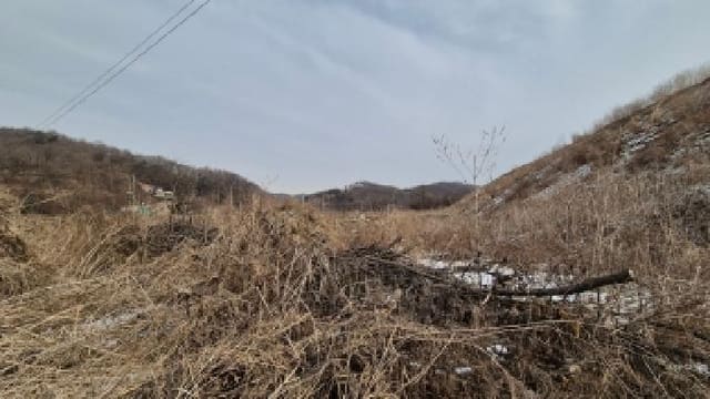 B000214202601300701164.jpg