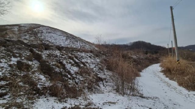B000214202601300701162.jpg