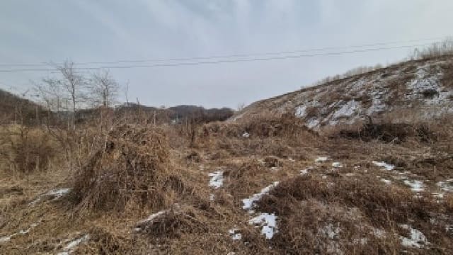 B000214202601300701163.jpg