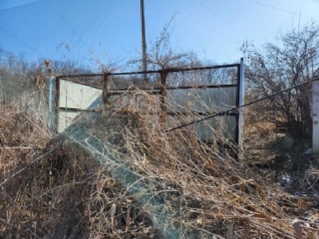 B000214202601300701603.jpg