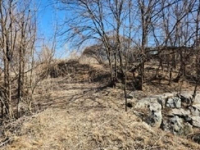 B000214202601300701601.jpg