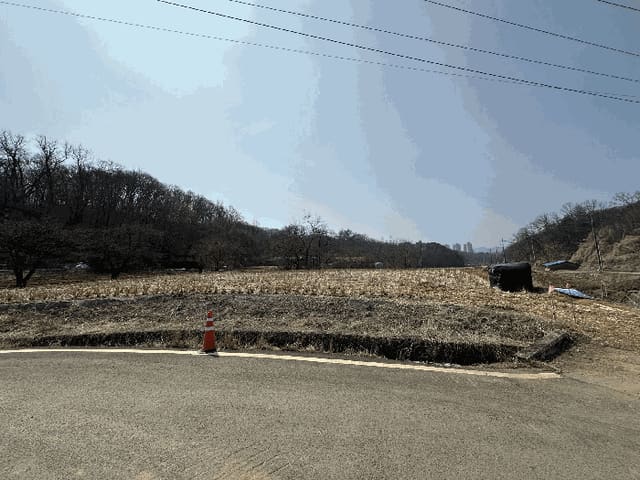 B000214202601300705934.jpg