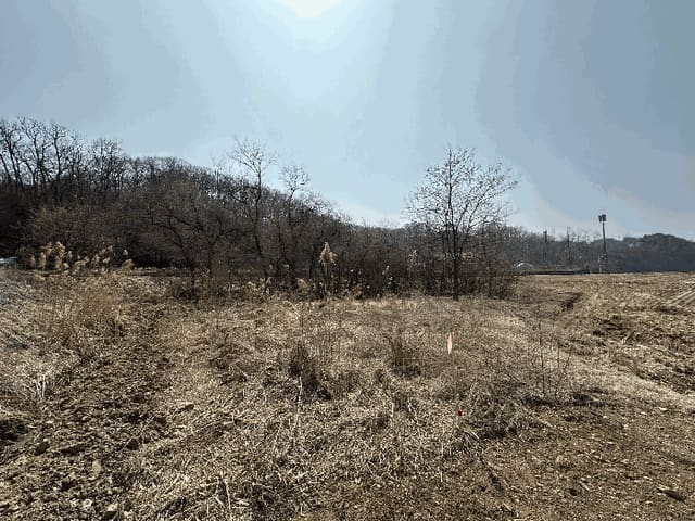 B000214202601300705933.jpg