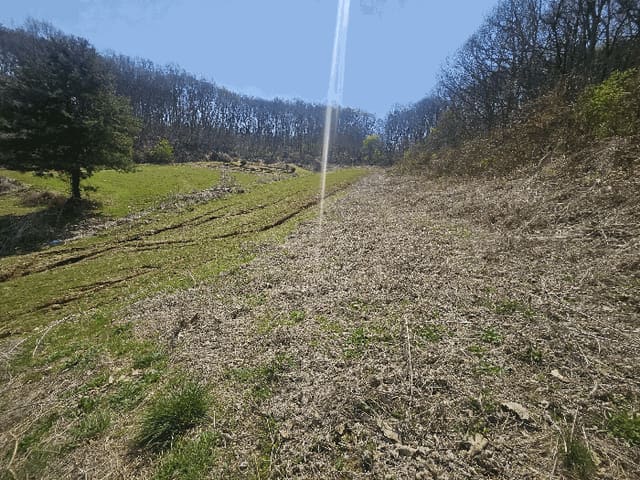 B000214202601300706474.jpg