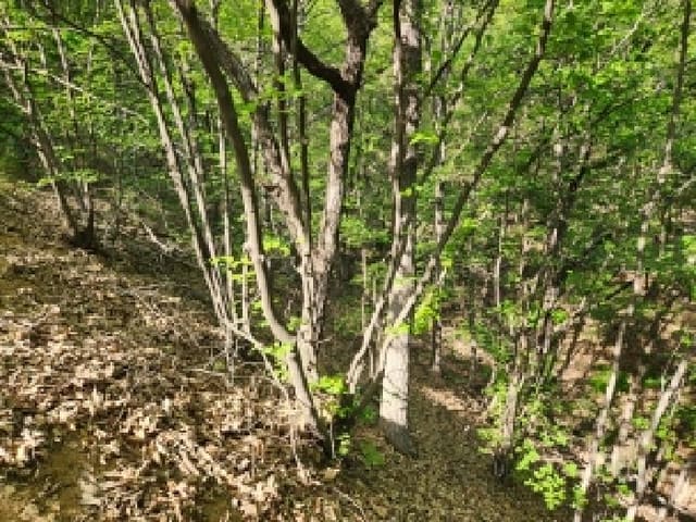 B000214202601300706883.jpg