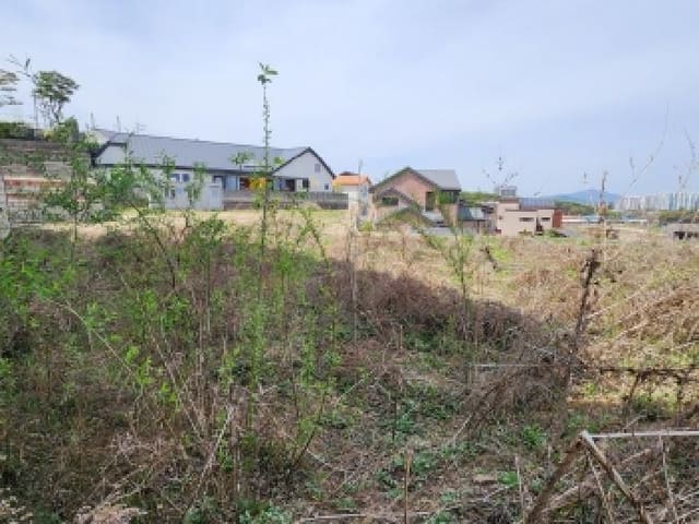 B000214202601300707062.jpg