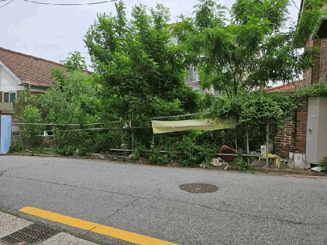 B000215202501300514072.jpg