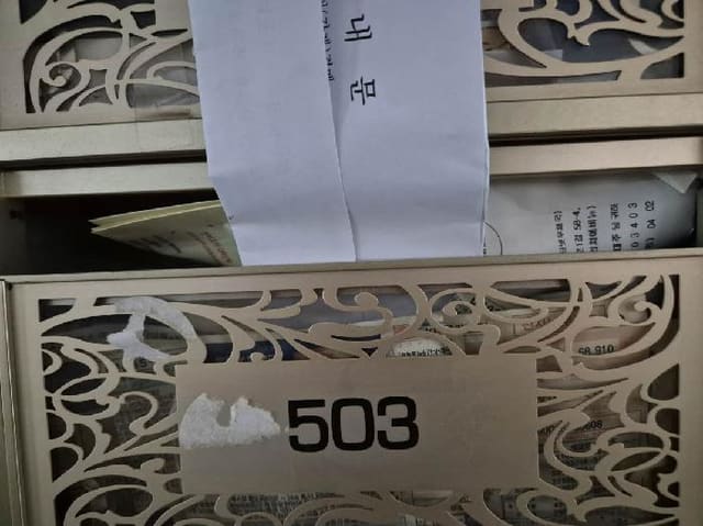 B000215202501300515332.jpg