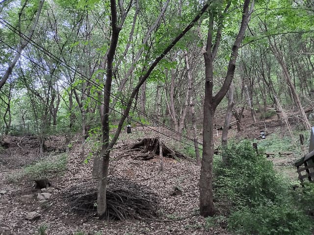 B0002152025013005160611.jpg