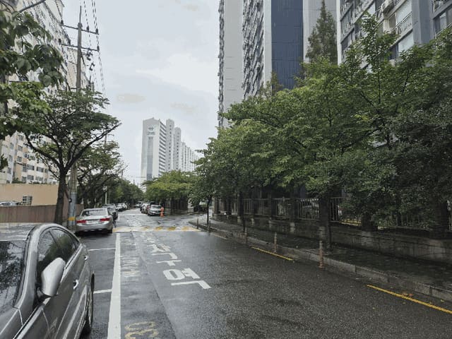B000215202501300519554.jpg