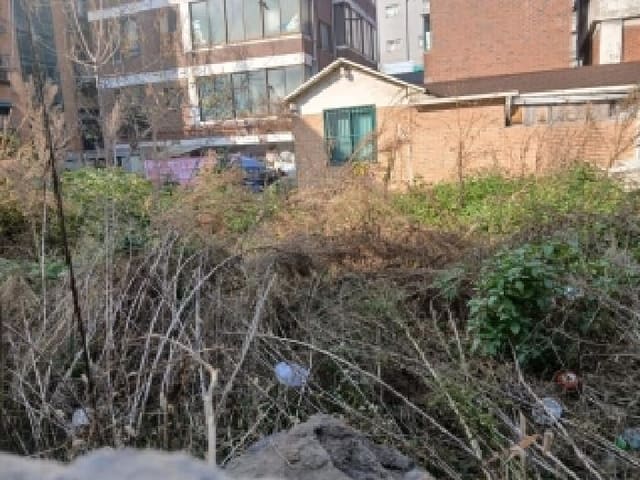 B000215202501300521302.jpg