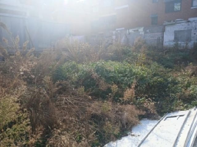 B000215202501300521301.jpg