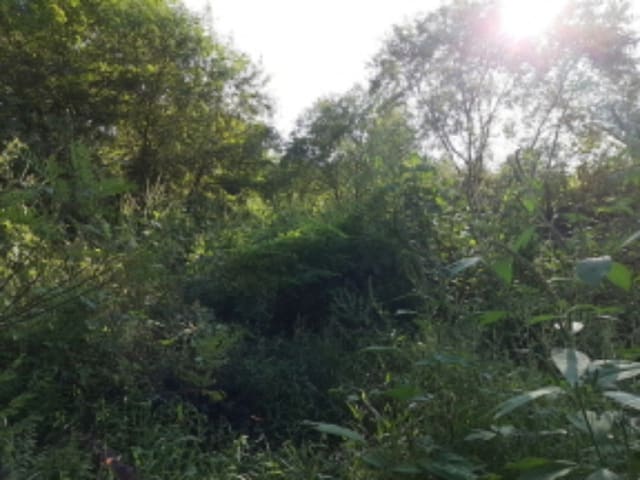 B000240202201305213994.jpg