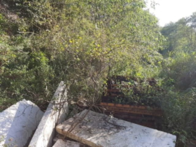 B000240202201305213991.jpg