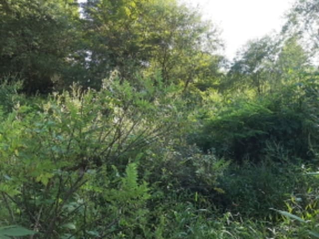 B000240202201305213993.jpg